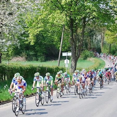 Aanhetgrotebos Lägenhet *