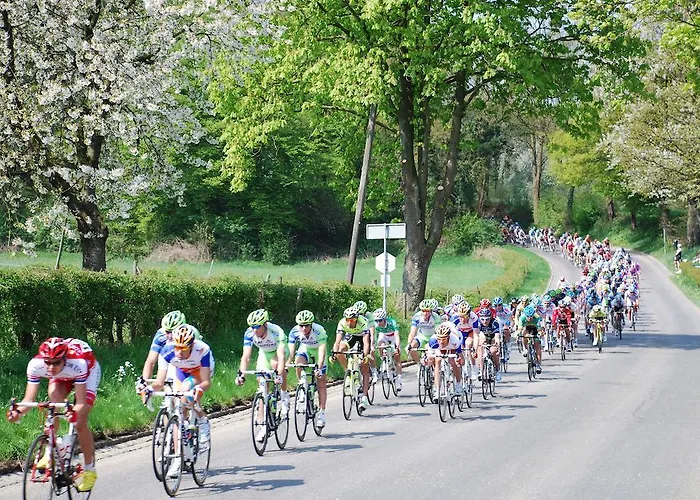 Aanhetgrotebos شقة *